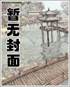 玲珑阁秘事